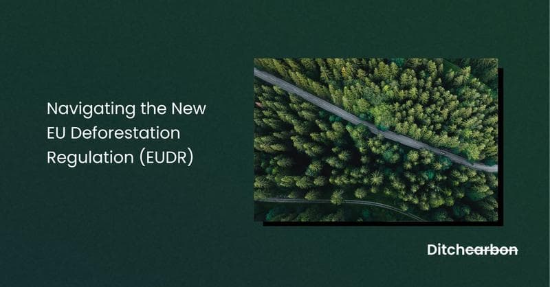 Navigating the New EU Deforestation Regulation (EUDR): All you need to know